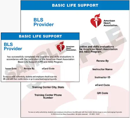 BLS Provider